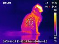 thermal-imagers-thermal-camera-infrared-camera